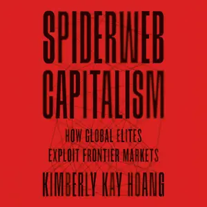 Spiderweb Capitalism: How Global Elites Exploit Frontier Markets