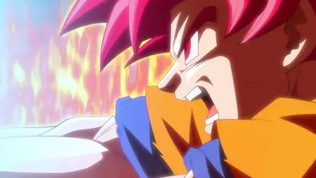 Dragon Ball Super - 013