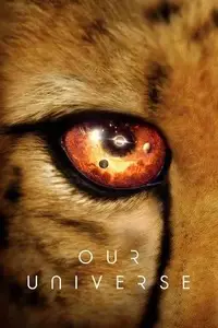 Our Universe S01E12
