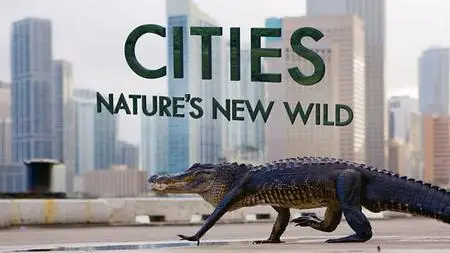 BBC Cities - Nature's New Wild: Residents (2018)