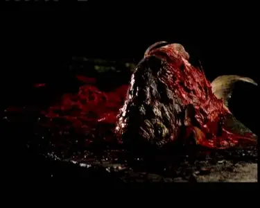 Maelstrom - by Denis Villeneuve (2000)