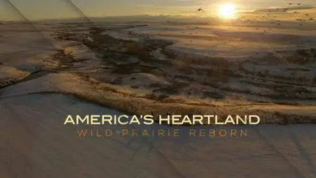 Smithsonian Ch. - America's Heartland: Wild Prairie Reborn (2021)