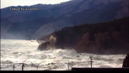 PBS - Nova: Surviving the Tsunami (2011)