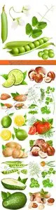 Vegetables fruits herbs and nuts realistic vector