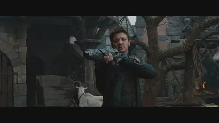 Hansel & Gretel: Witch Hunters [Theatrical Cut] (2013)