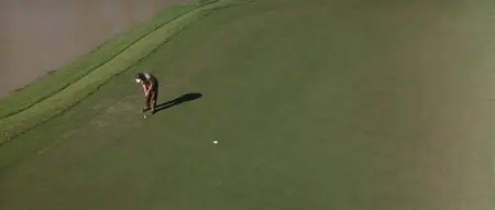 Tin cup (1996)
