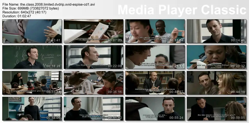 The Class (2008)