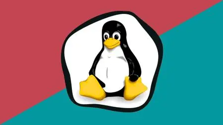 Practical Linux Command Line - The Basics You Really Need