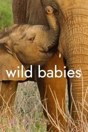 Wild Babies S01E05
