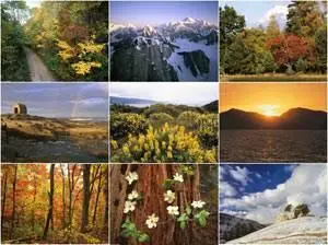 Nature Wallpapers