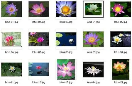 Sunsets Wallpapers (Repost with mirrors)