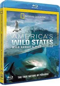 National Geographic - Americas Wild States: Wild Hawaii - Wild Florida (2013)