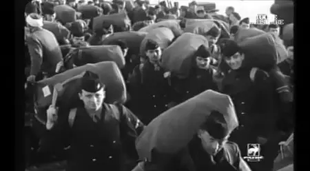 (Toute l'histoire) 1956, une sale histoire (2014)