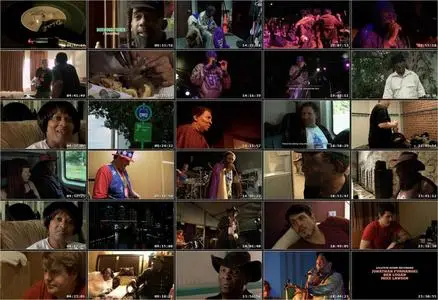 The Weird World of Blowfly (2010)