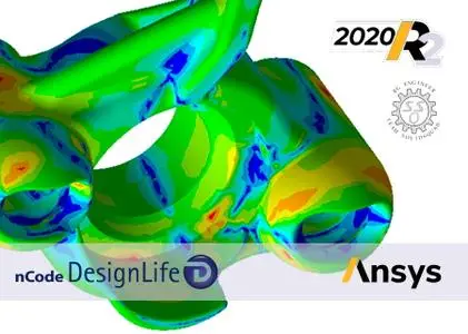 ANSYS 2020 R2 nCode DesignLife