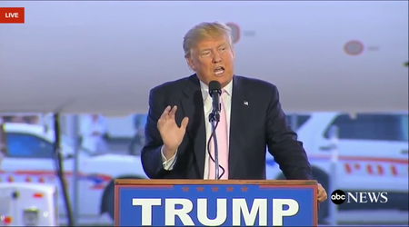 One Nation Under Trump (2016)