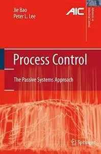 Process control: the passive systems approach