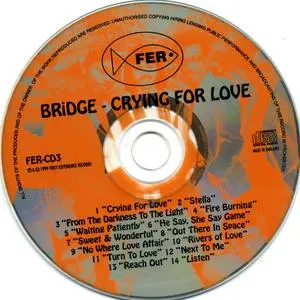 Bridge - Crying For Love (1999) {First Experience}