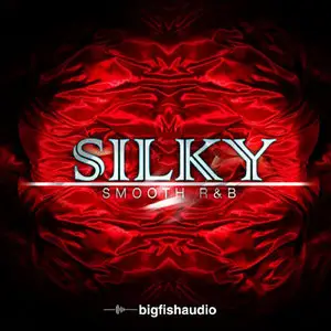 Big Fish Audio Silky Smooth R&B MULTiFORMAT