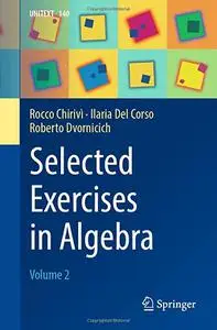 Selected Exercises in Algebra: Volume 2