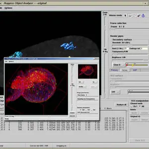 SVI Huygens Suite v3.4 0p1 Mac