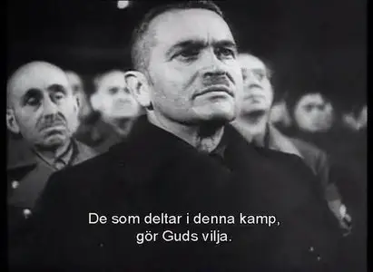 Hitler a Career part 2