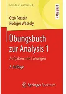 Übungsbuch zur Analysis 1: Aufgaben und Lösungen (Auflage: 7) [Repost]