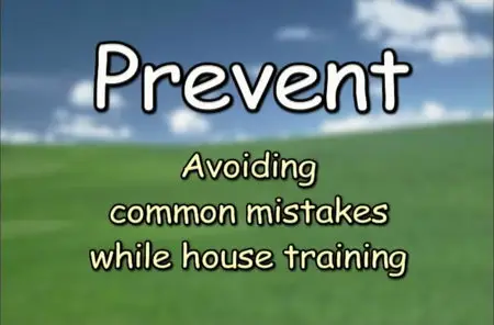 Training Your Adopted Dog [repost]