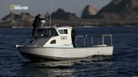 National Geographic Wild: Shark Men - Can't Catch a Break (2012)