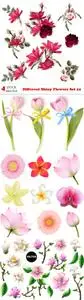 Vectors - Different Shiny Flowers Set 22