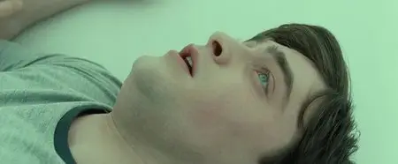 Harry Potter and the Deathly Hallows: Part 2 / Harry Potter und die Heiligtumer des Todes Teil 2 (2011)