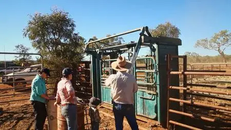 Undermined - Tales from the Kimberley (2018)