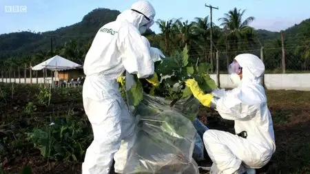 BBC - Panorama: GM Food - Cultivating Fear (2015)