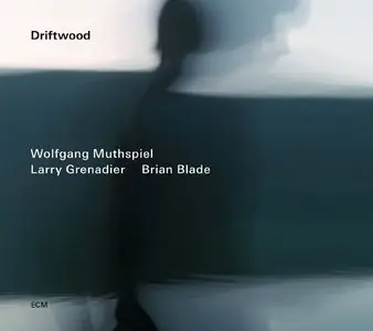 Wolfgang Muthspiel - Driftwood (2014)