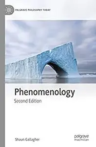 Phenomenology (Palgrave Philosophy Today)