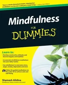 Mindfulness For Dummies