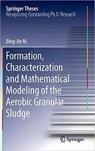 Formation, characterization and mathematical modeling of the aerobic granular sludge