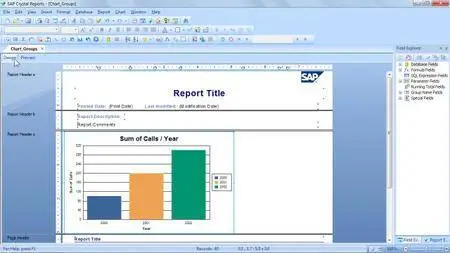 Crystal Reports 2011 Essential Training