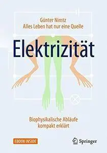 Alles Leben hat nur eine Quelle: Elektrizität: Biophysikalische Abläufe kompakt erklärt