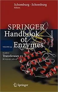 Class 2 Transferases VII: EC 2.5.1.31 - 2.6.1.57  Ed 2