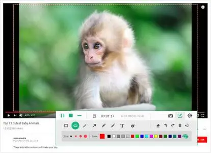 Apeaksoft Screen Recorder 1.3.10 Multilingual (x64)