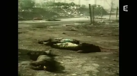 (Fr5) Liban, des guerres et des hommes (2013)
