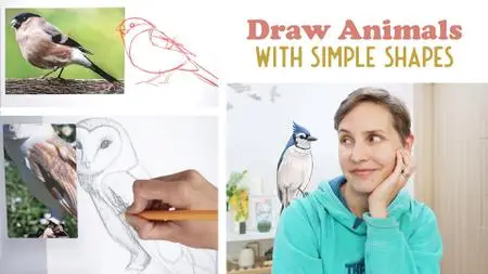 Drawing Realistic Animals With Simple Shapes Birds