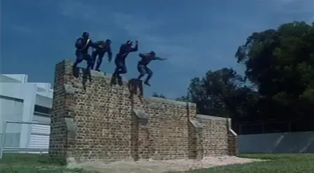 The Inspector Wears Skirts 2 (1989)