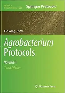 Agrobacterium Protocols: Volume 1