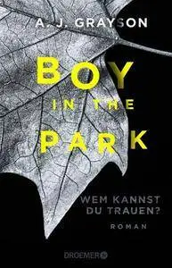 Grayson, A. J. - Boy in the Park - Wem kannst du trauen