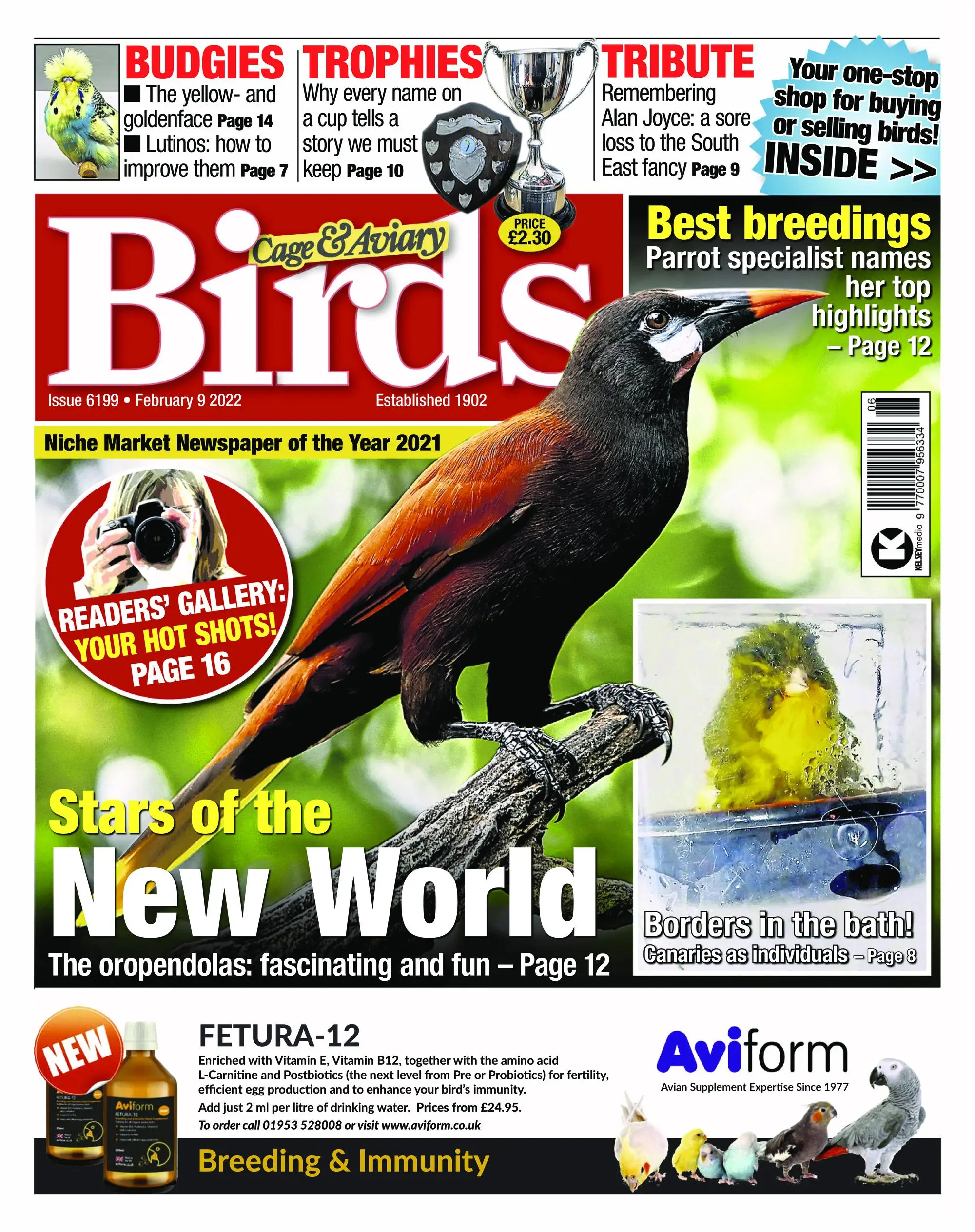 Cage & Aviary Birds – 09 February 2022
