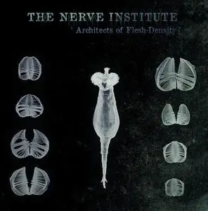 The Nerve Institute - 2 Studio Albums (2011-2015)