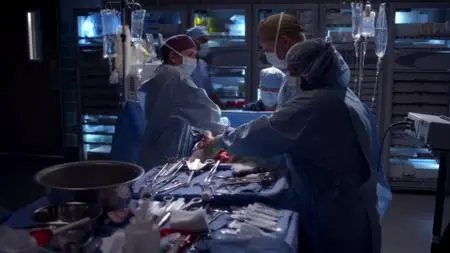Grey's Anatomy S11E09