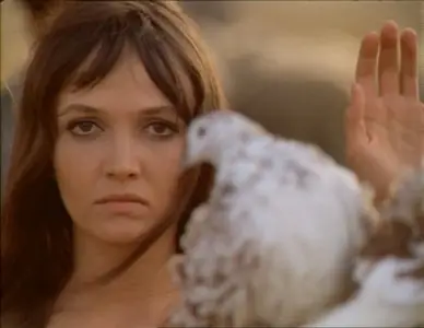 Red Psalm / Még kér a nép / Пока народ еще просит (1972)